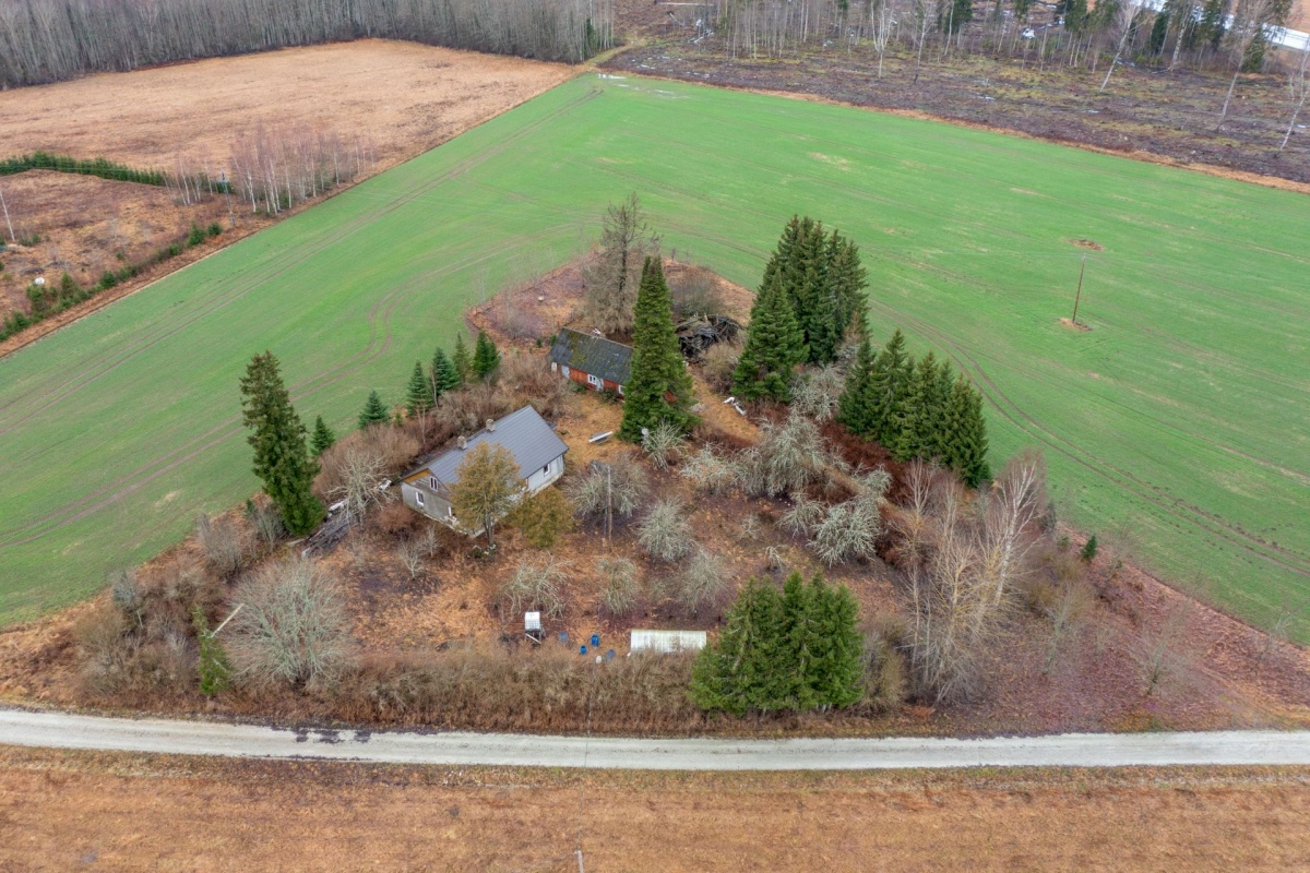 Paide linn, Mustla küla, Allika