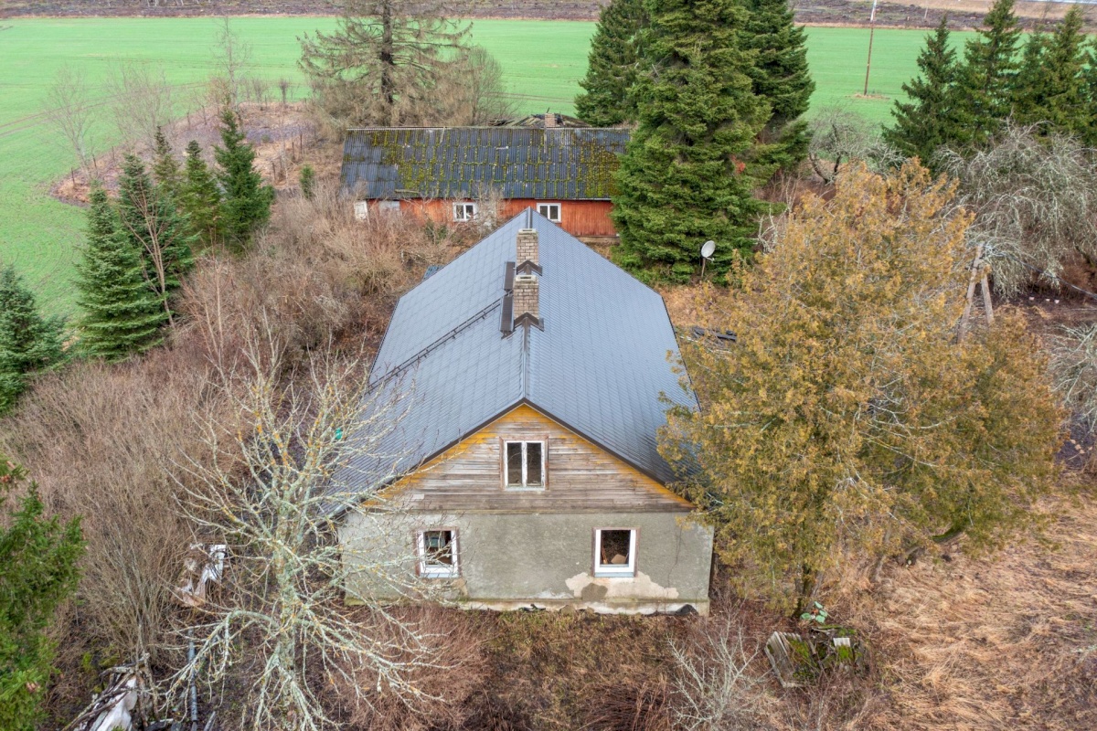 Paide linn, Mustla küla, Allika