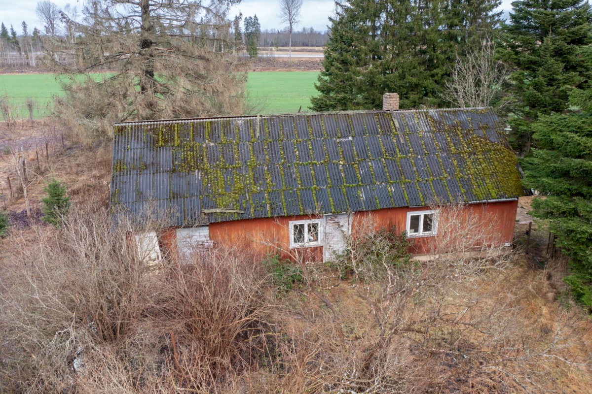 Paide linn, Mustla küla, Allika