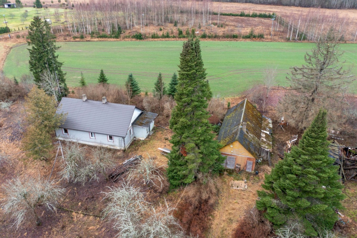 Paide linn, Mustla küla, Allika