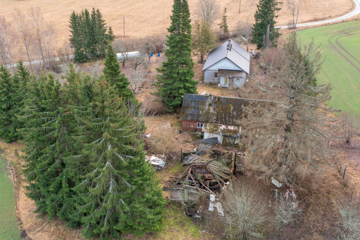 Paide linn, Mustla küla, Allika