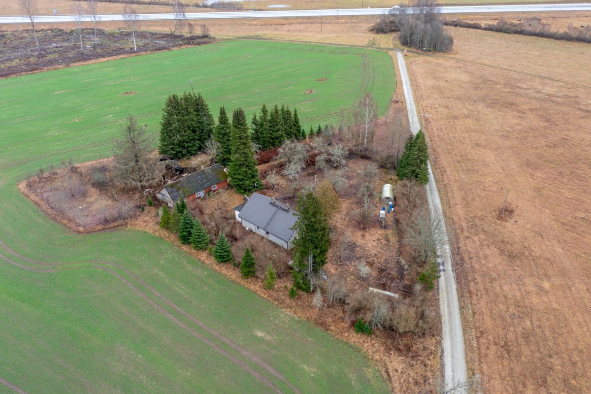 Paide linn, Mustla küla, Allika