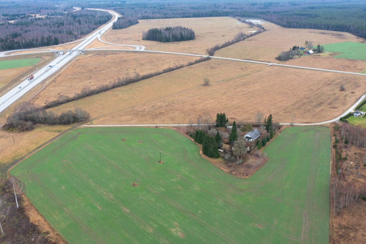 Paide linn, Mustla küla, Allika