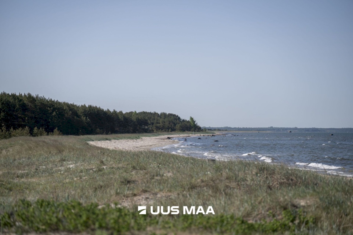 Lääne-Nigula vald, Elbiku küla/Ölbäck, Kasekaku