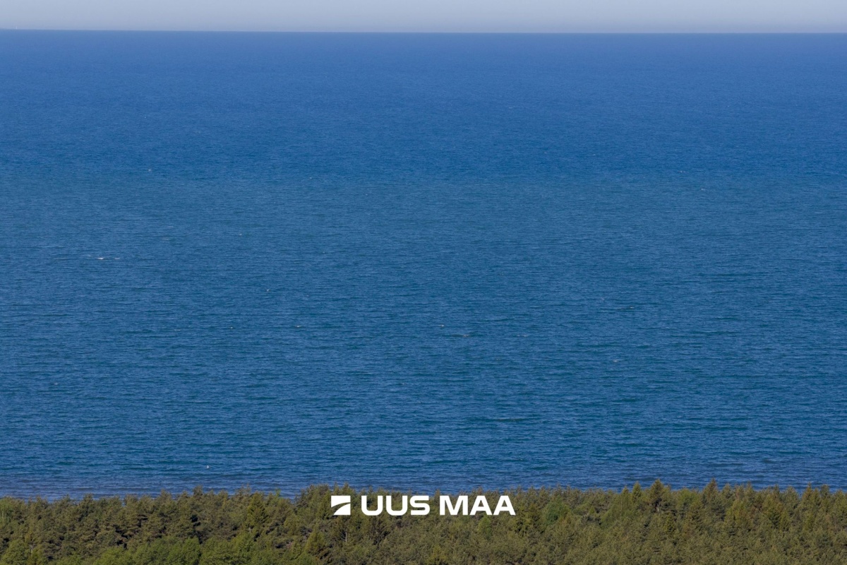 Lääne-Nigula vald, Elbiku küla/Ölbäck, Kasekaku