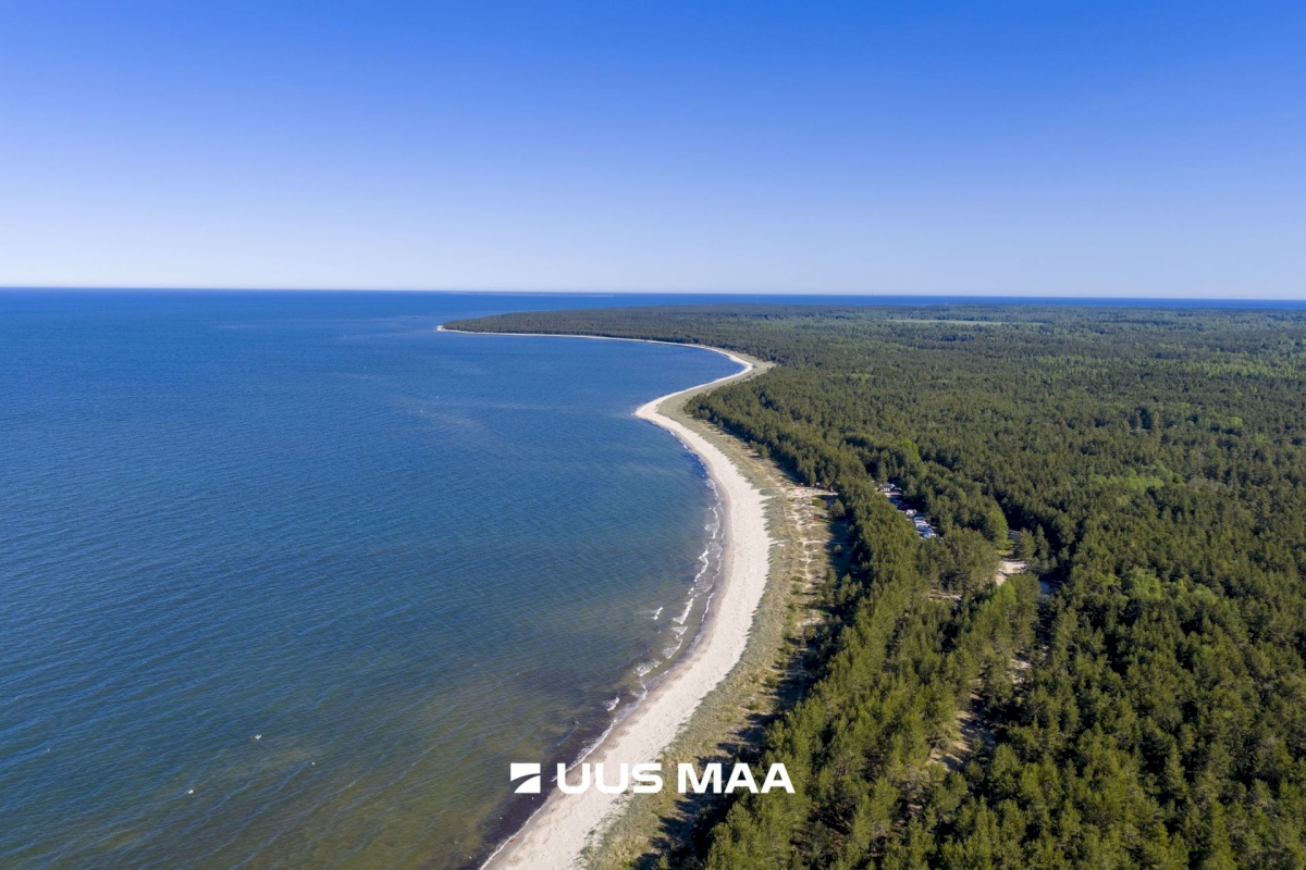 Lääne-Nigula vald, Elbiku küla/Ölbäck, Kasekaku