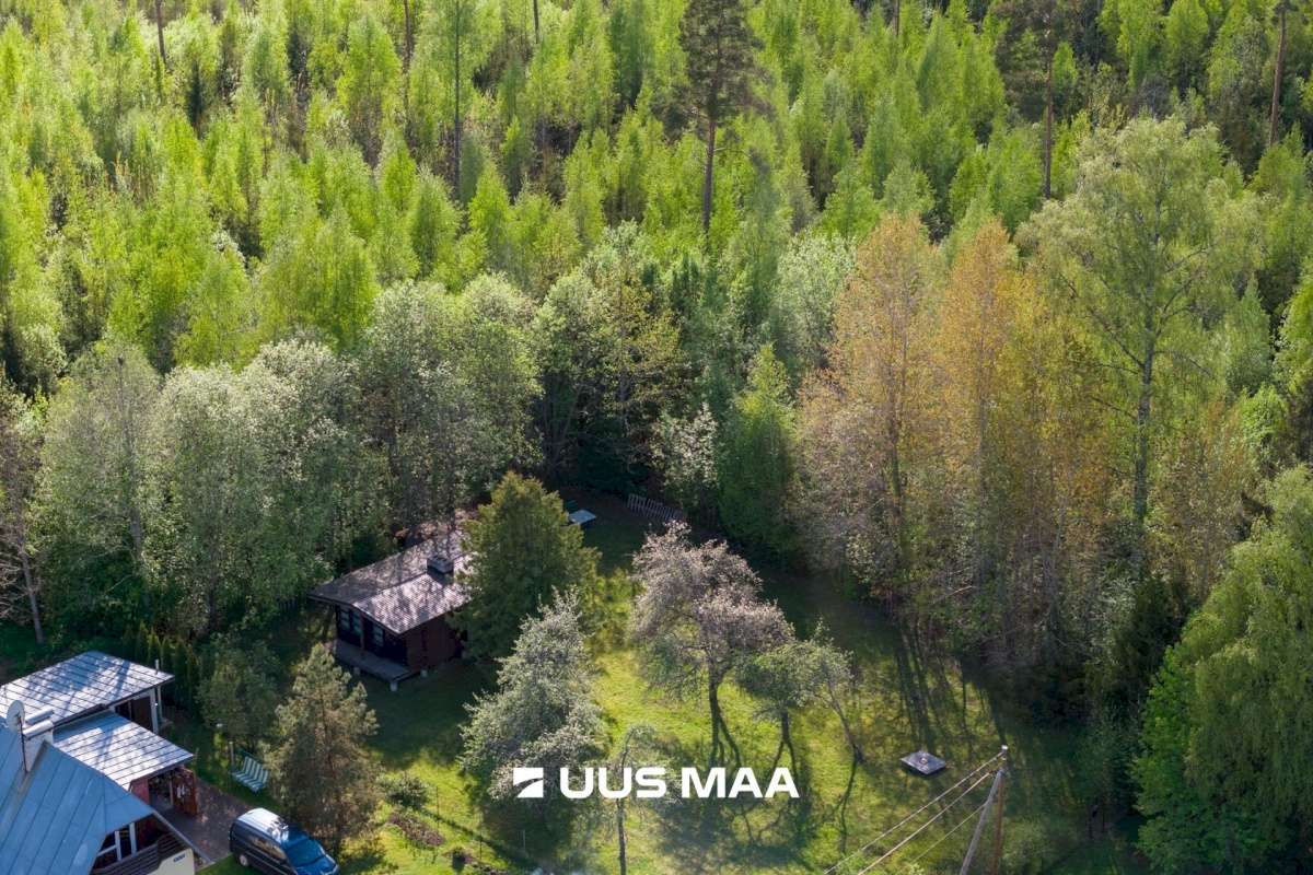 Rapla vald, Pirgu küla, Metsa tee 5