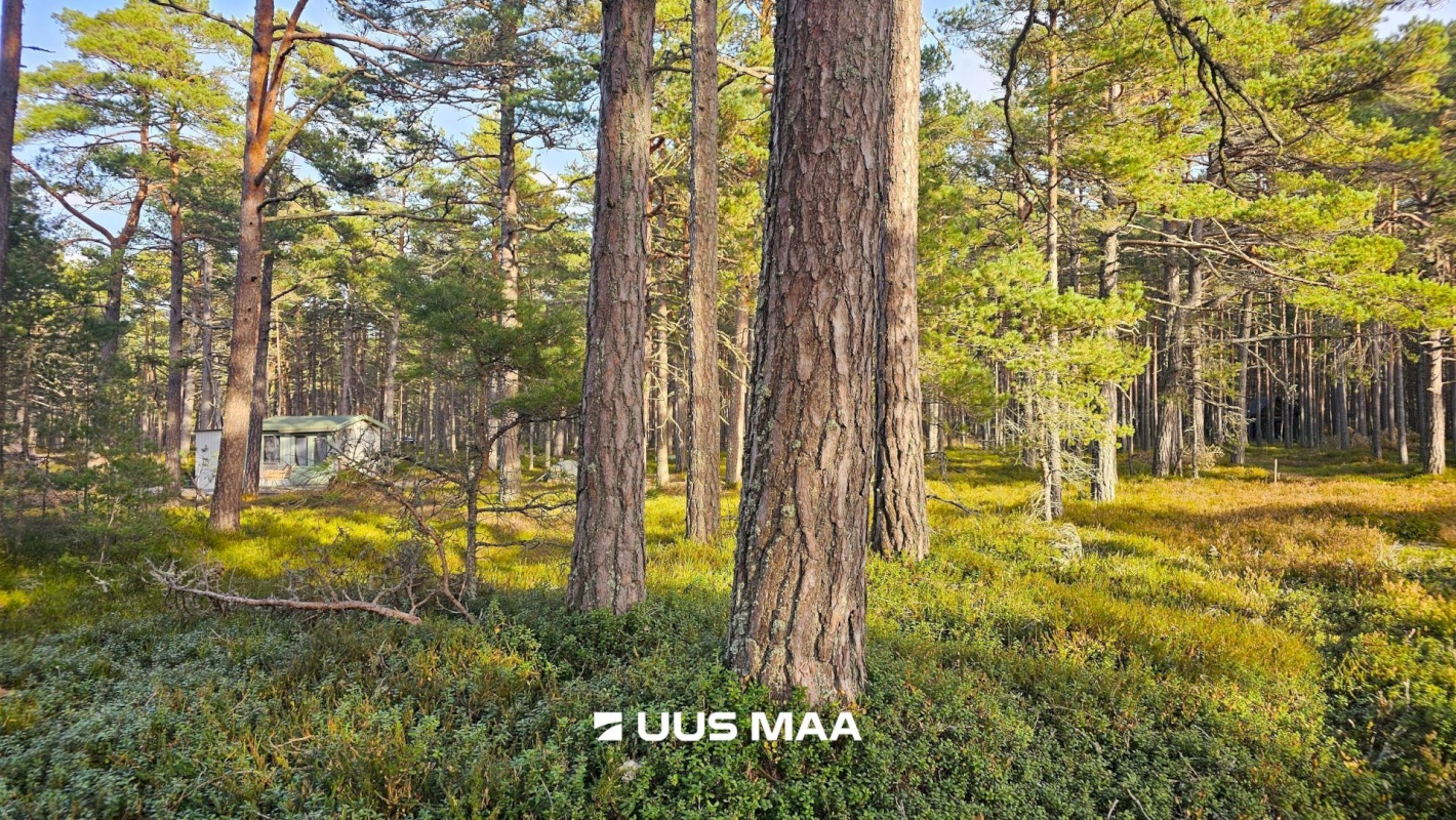 Lääne-Nigula vald, Rooslepa küla/Roslep