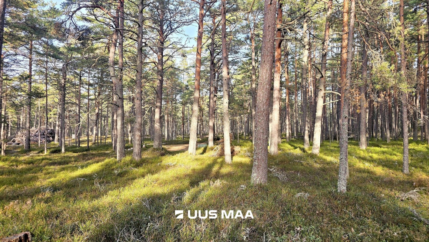 Lääne-Nigula vald, Rooslepa küla/Roslep