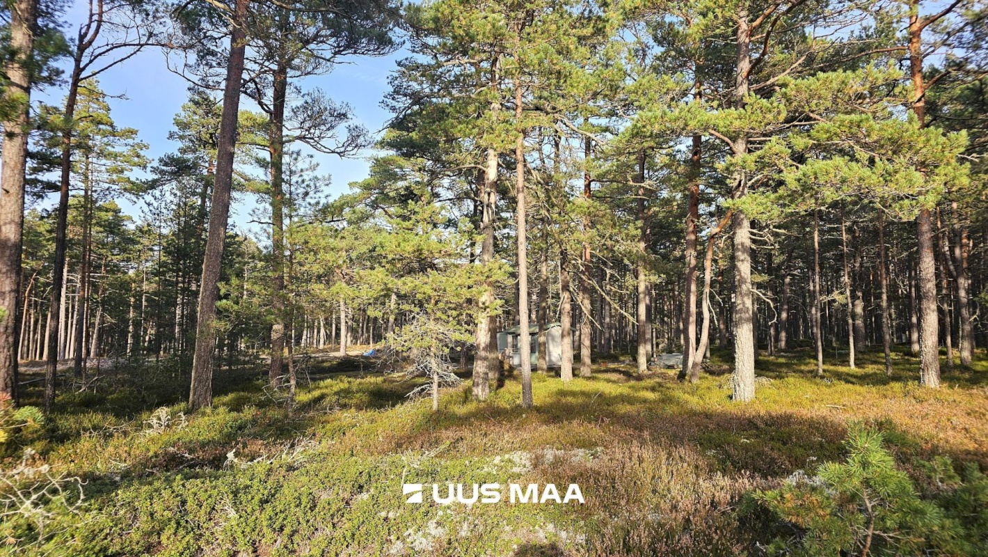 Lääne-Nigula vald, Rooslepa küla/Roslep