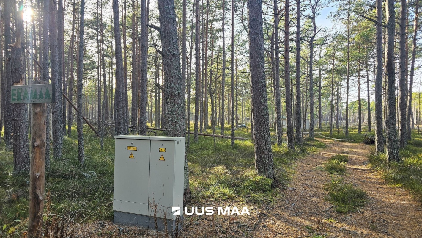 Lääne-Nigula vald, Rooslepa küla/Roslep