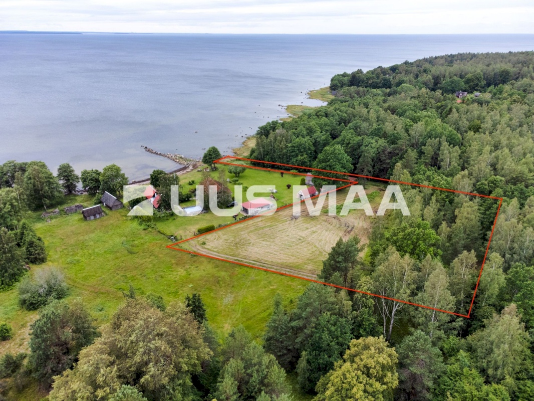 Kuusalu vald, Pedaspea küla