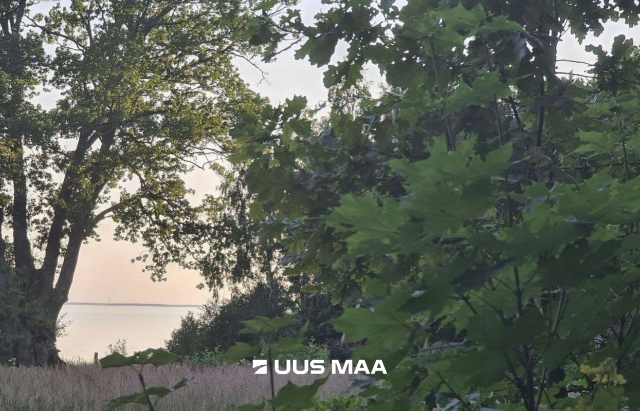 Kuusalu vald, Pedaspea küla