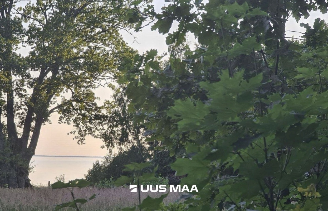 Kuusalu vald, Pedaspea küla