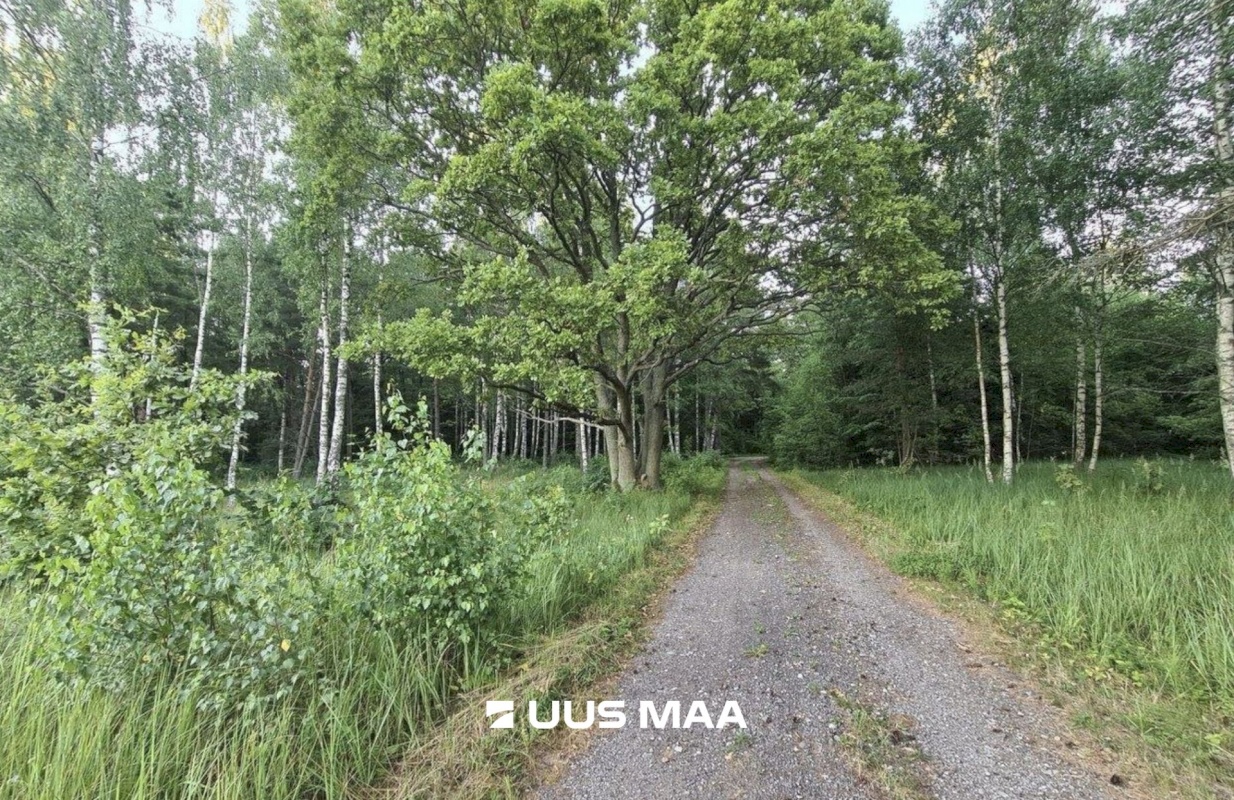 Kuusalu vald, Pedaspea küla