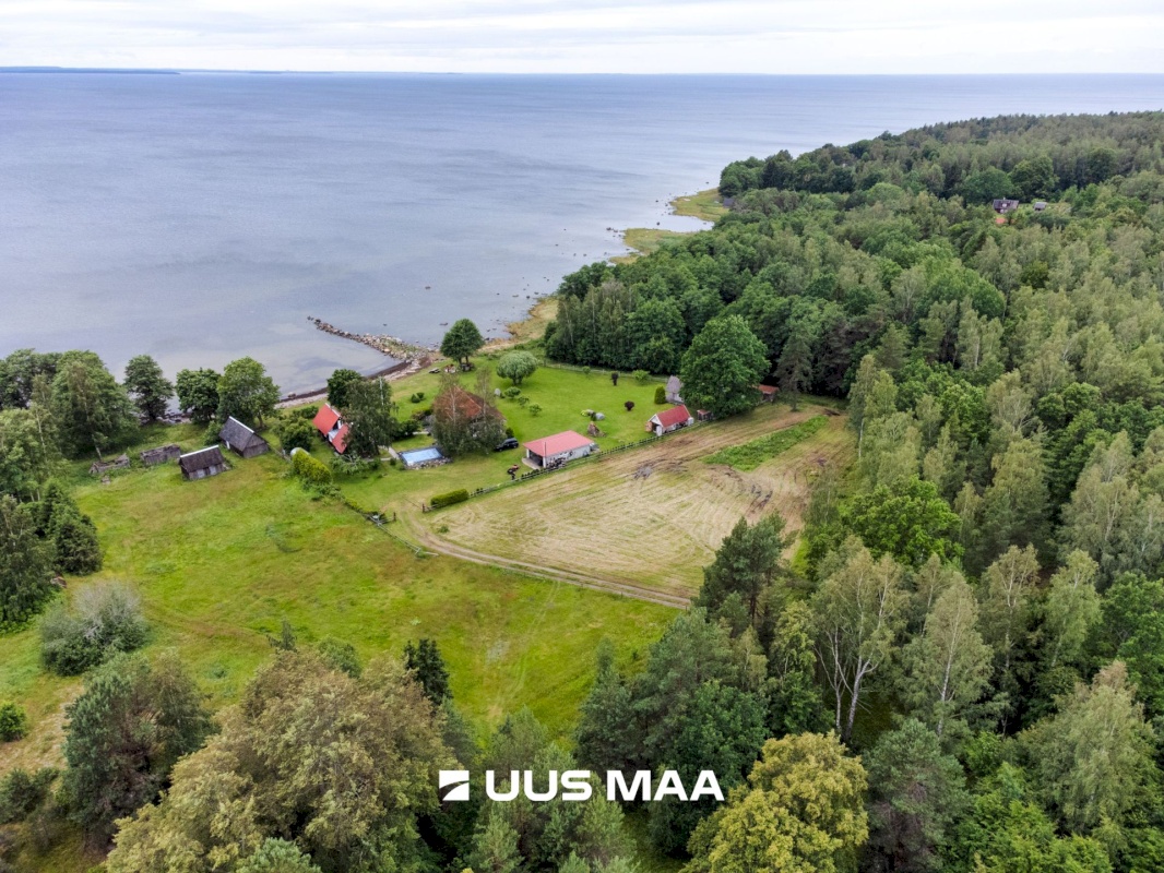 Kuusalu vald, Pedaspea küla