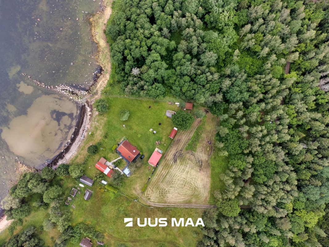 Kuusalu vald, Pedaspea küla