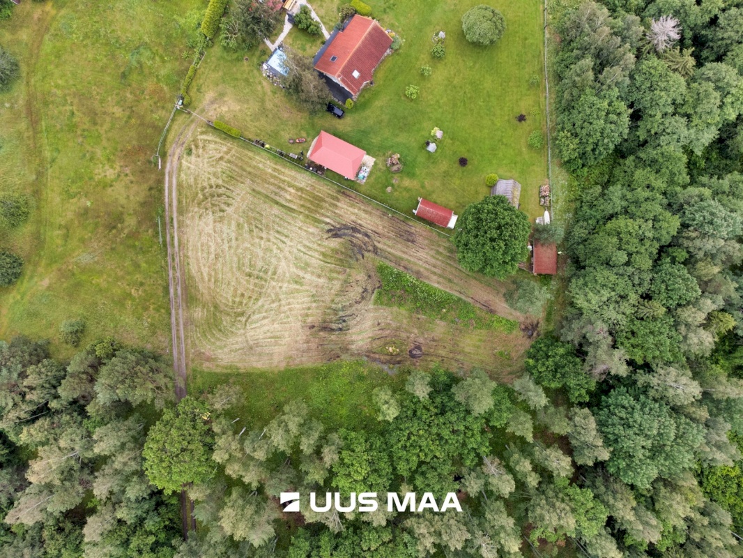 Kuusalu vald, Pedaspea küla