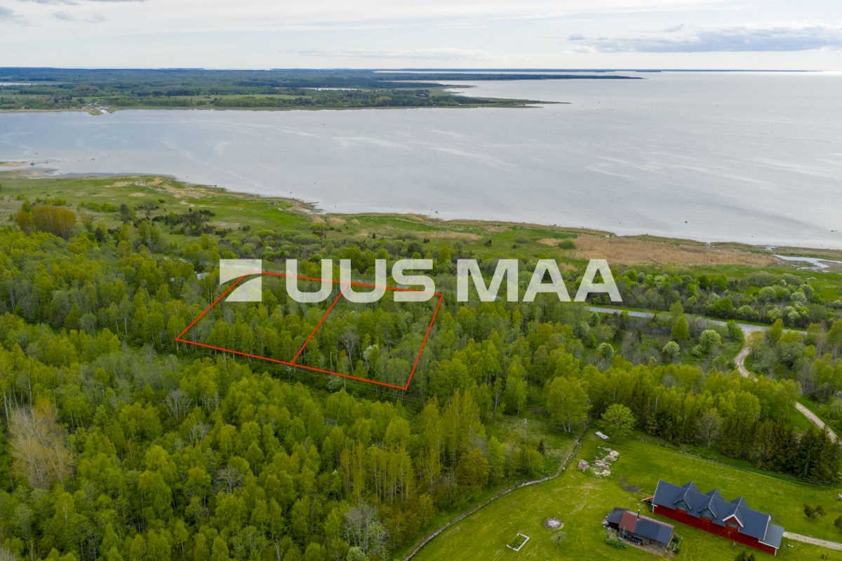 Lääne-Nigula vald, Riguldi küla/Rickul