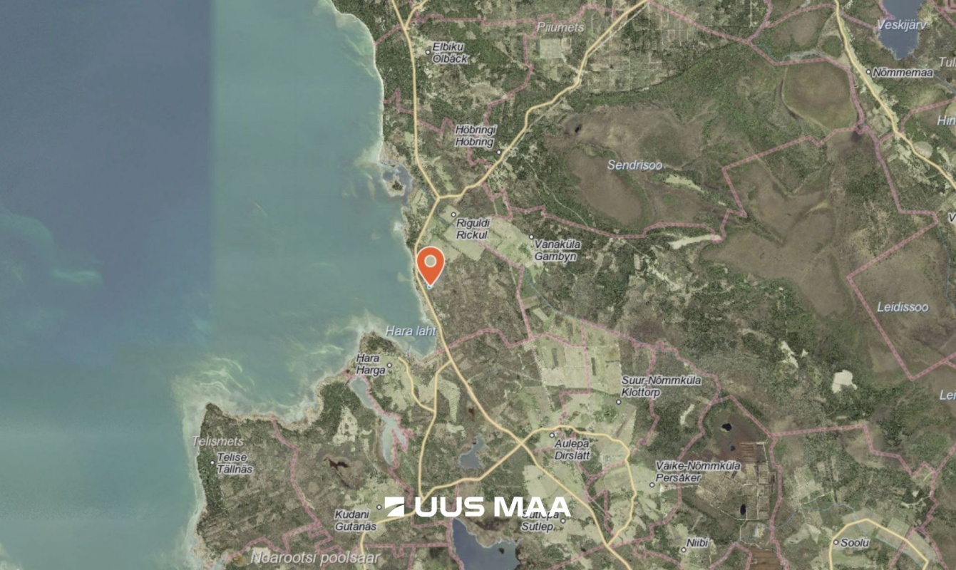 Lääne-Nigula vald, Riguldi küla/Rickul