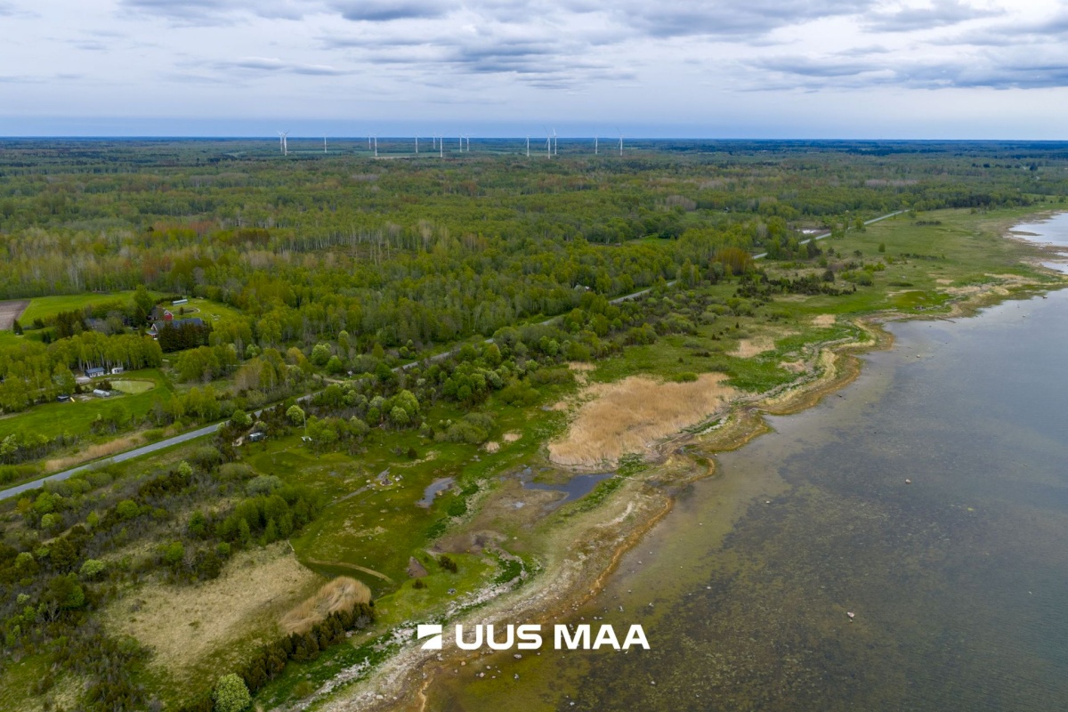 Lääne-Nigula vald, Riguldi küla/Rickul