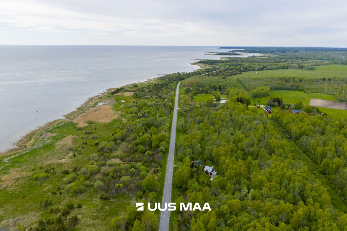 Lääne-Nigula vald, Riguldi küla/Rickul