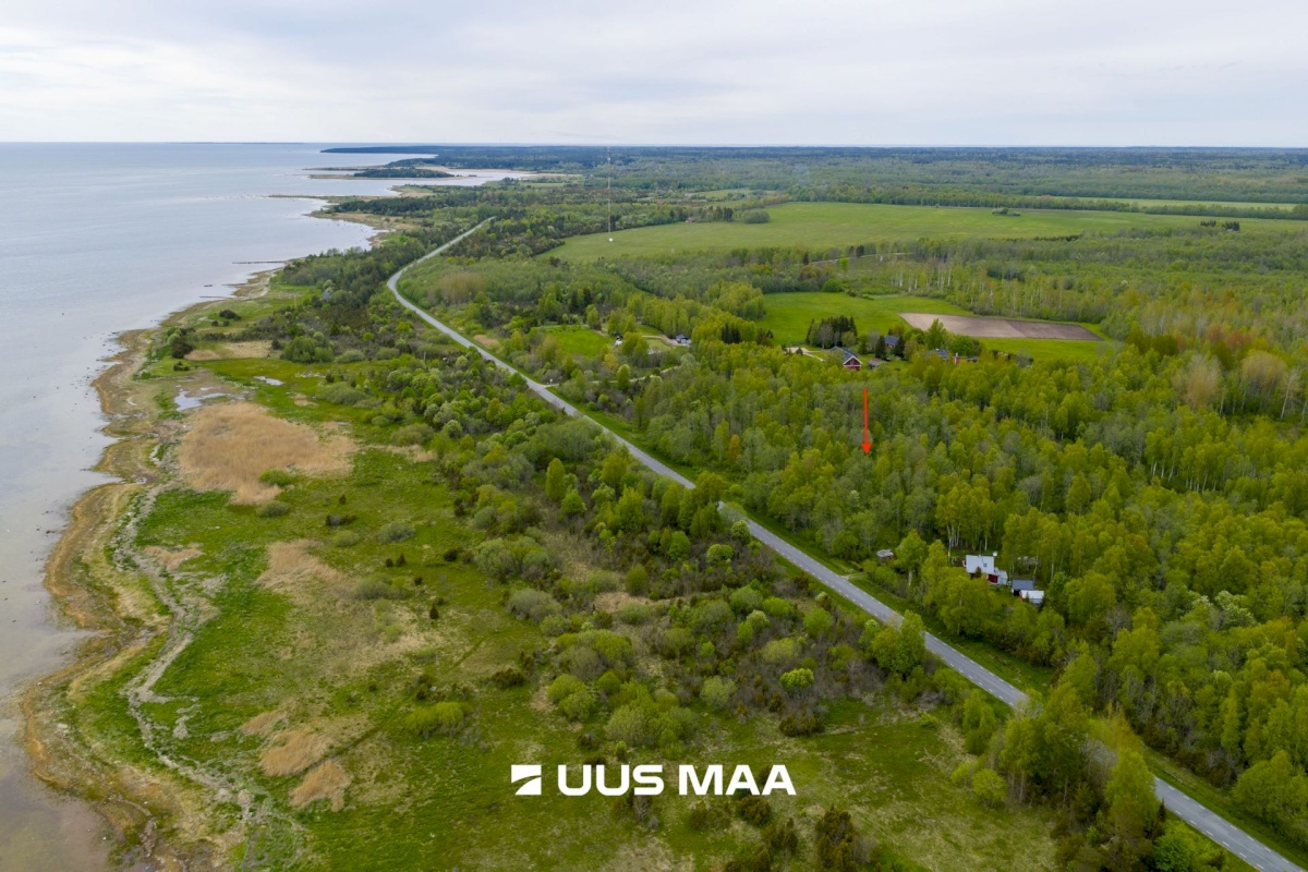 Lääne-Nigula vald, Riguldi küla/Rickul