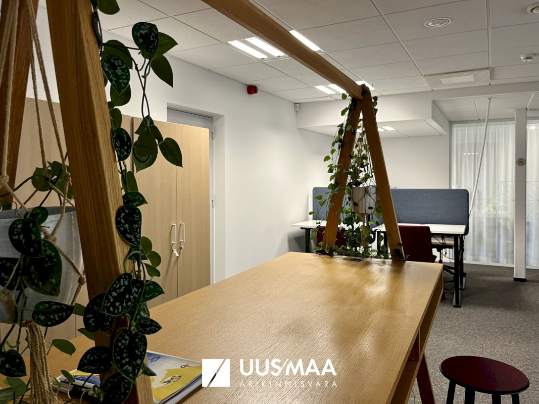 Tallinn, Kesklinna linnaosa, Maakri 19