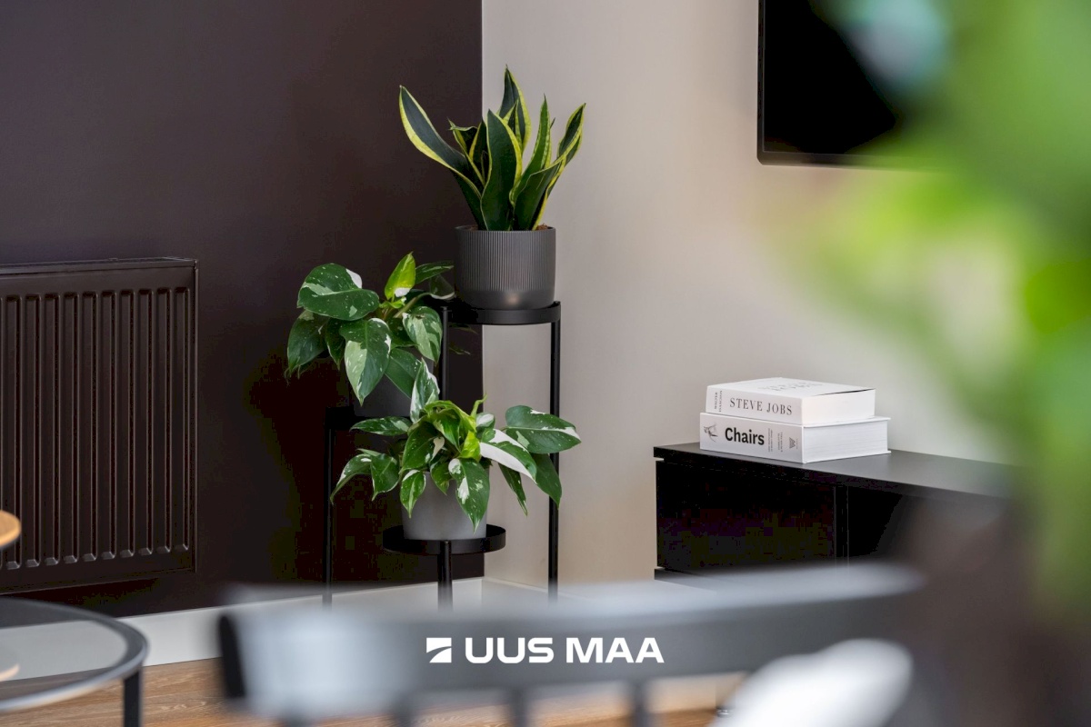 Tallinn, Kesklinna linnaosa, Juhkentali, Juhkentali 32