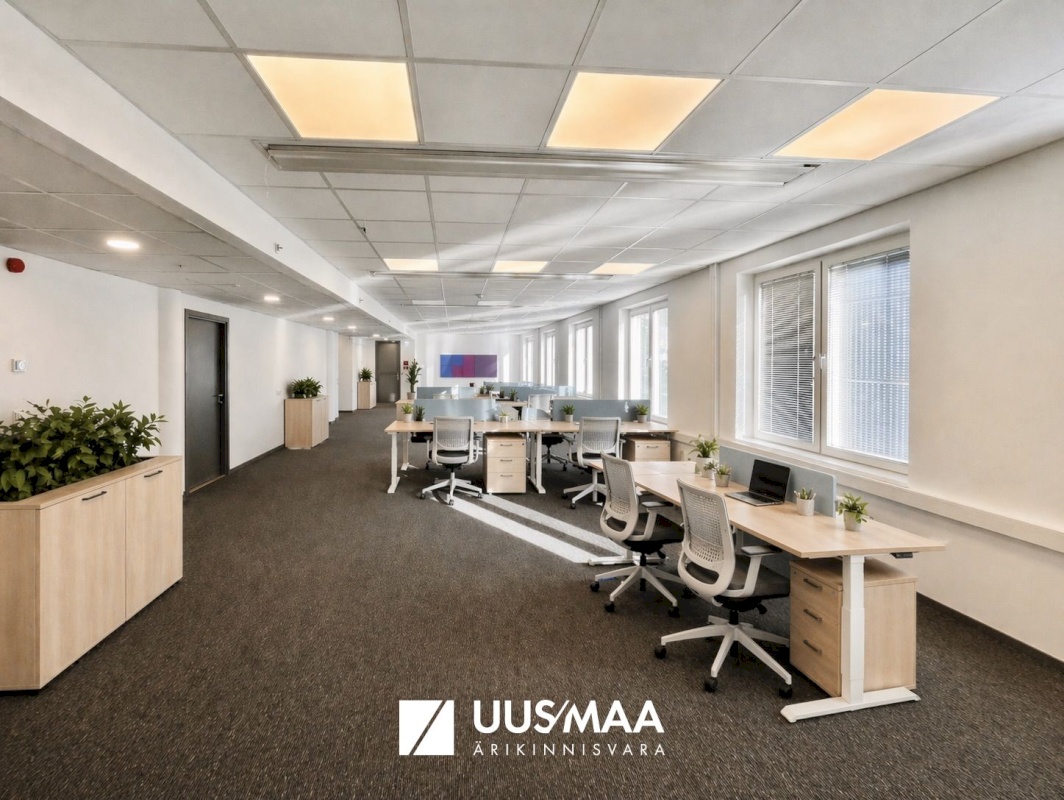 Tallinn, Kesklinna linnaosa, Roosikrantsi 11