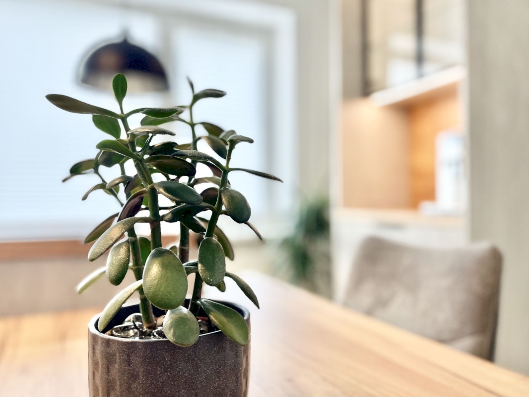 Pärnu linn, Pärnu linn, Mai, Mai 67