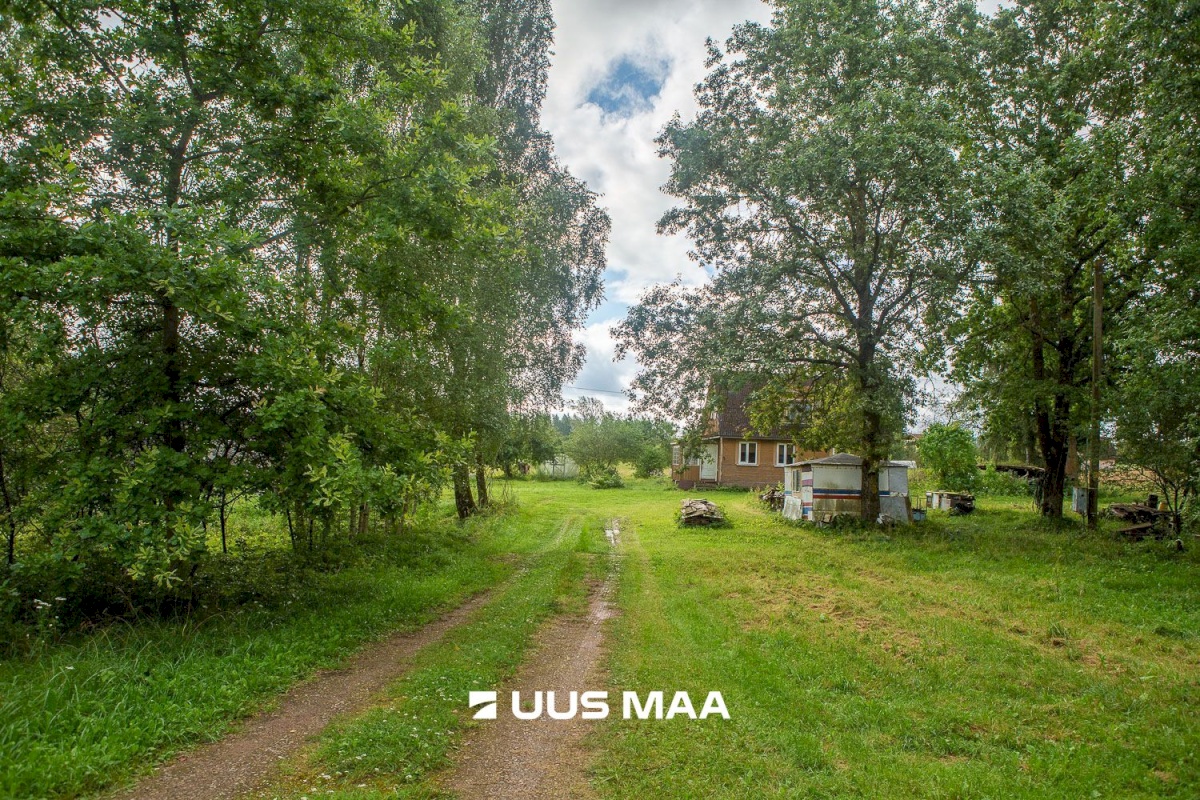 Kastre vald, Päkste küla, Männi 14