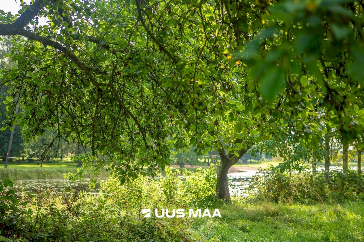 Kastre vald, Päkste küla, Männi 14