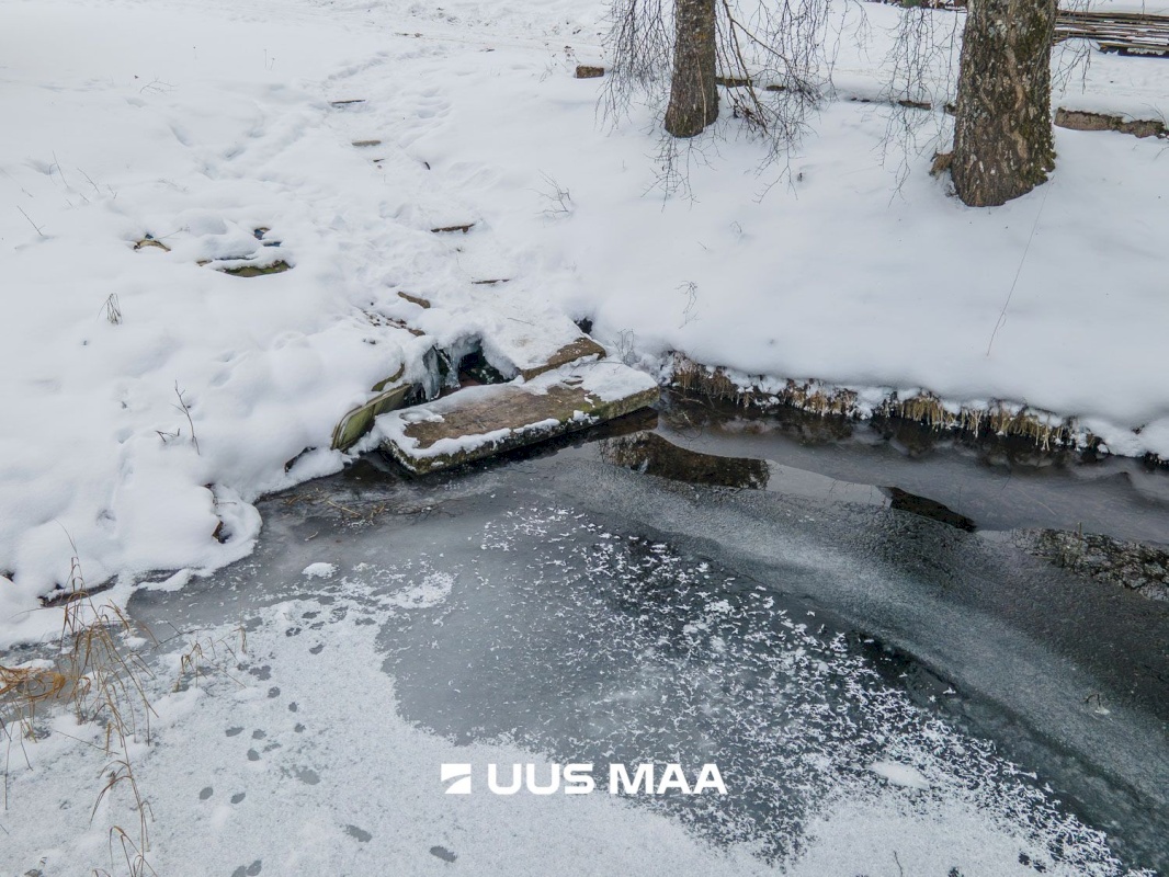Kastre vald, Päkste küla, Männi 14