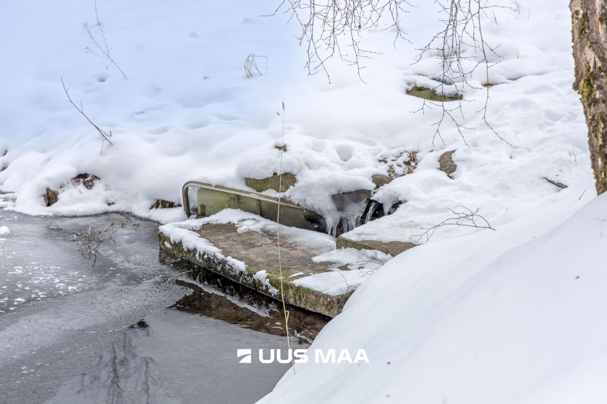 Kastre vald, Päkste küla, Männi 14