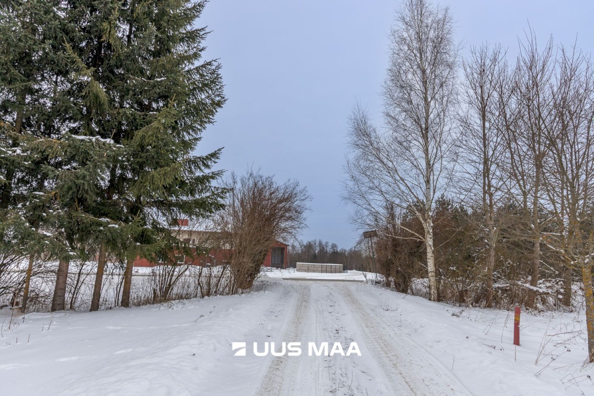 Kastre vald, Päkste küla, Männi 14