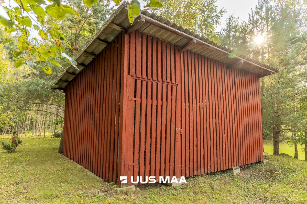 Põlva vald, Kauksi küla, Haavamäe