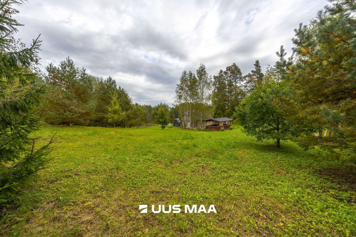 Põlva vald, Kauksi küla, Haavamäe