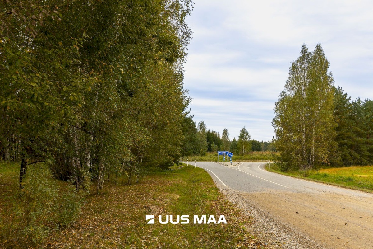 Põlva vald, Kauksi küla, Haavamäe