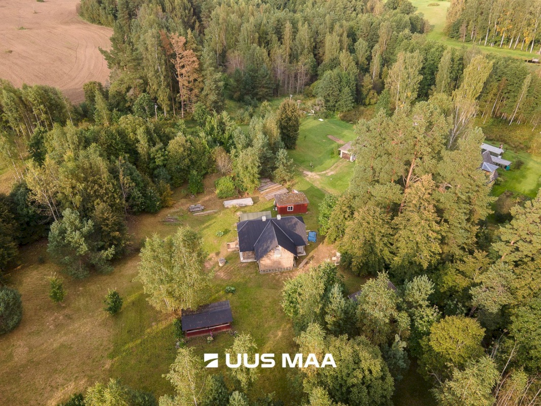 Põlva vald, Kauksi küla, Haavamäe