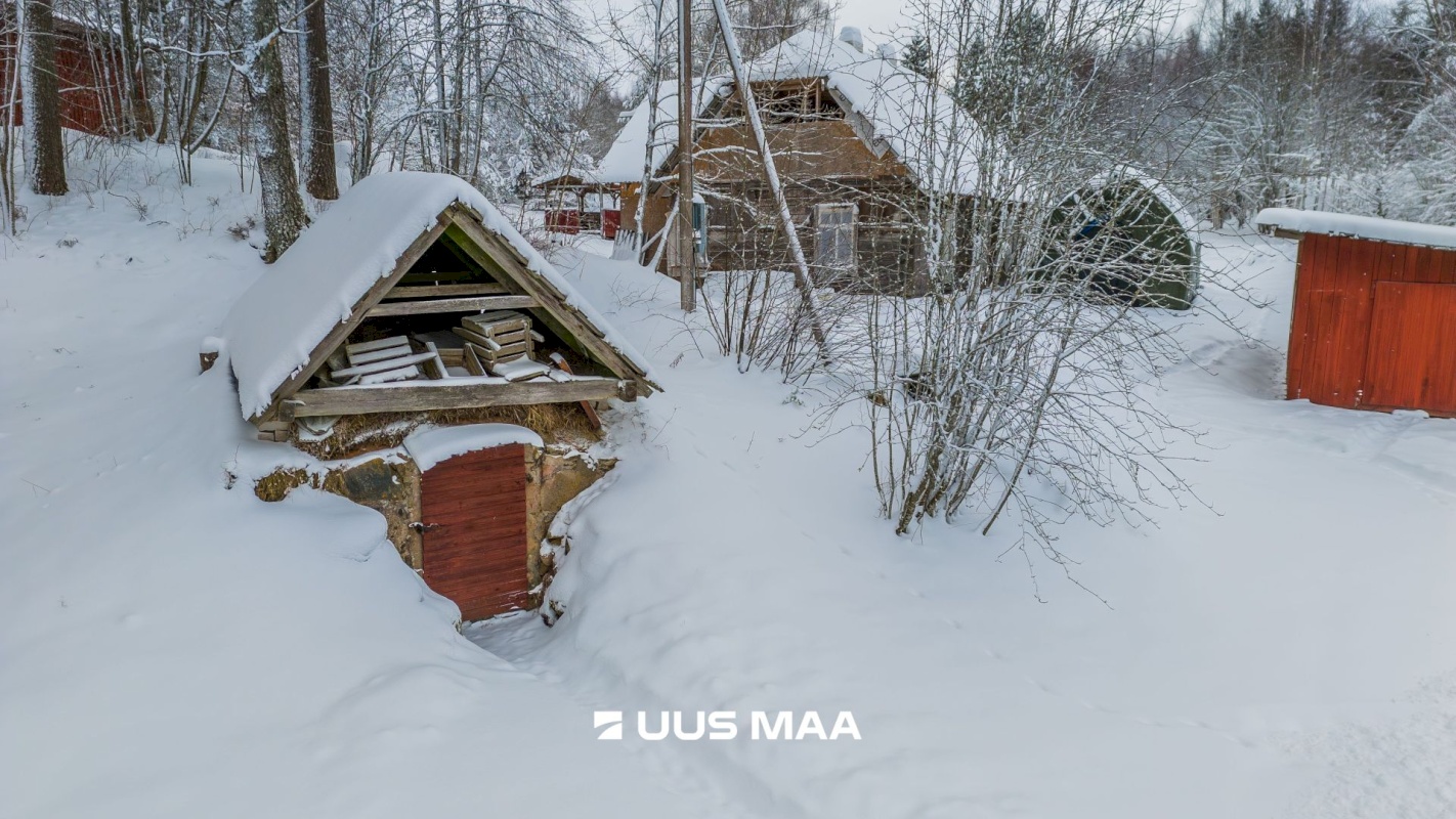 Põlva vald, Kauksi küla, Haavamäe