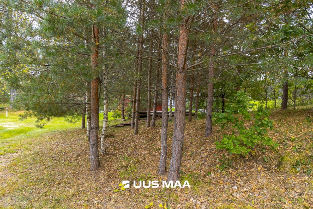 Põlva vald, Kauksi küla, Haavamäe