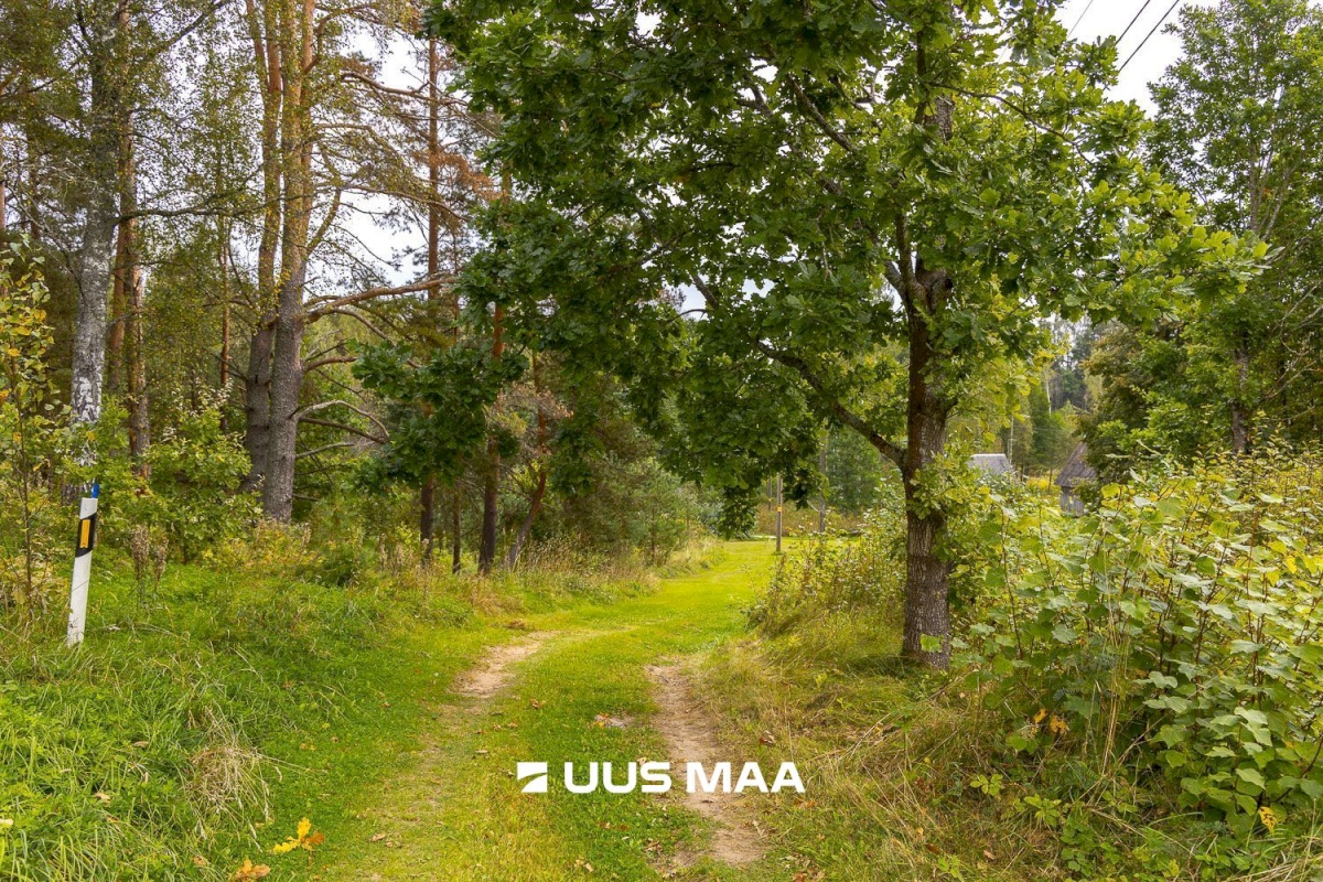 Põlva vald, Kauksi küla, Haavamäe