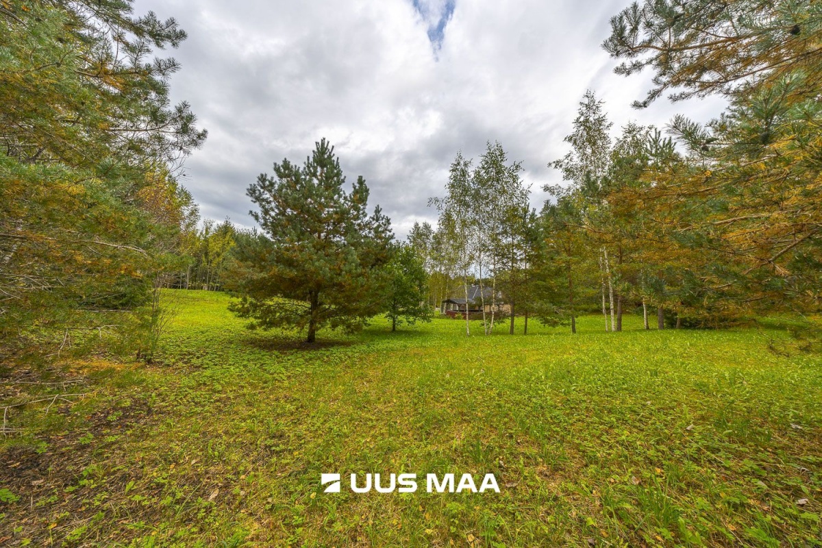 Põlva vald, Kauksi küla, Haavamäe