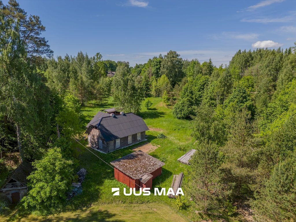 Põlva vald, Kauksi küla, Haavamäe
