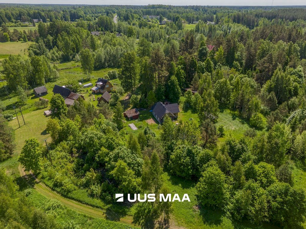 Põlva vald, Kauksi küla, Haavamäe