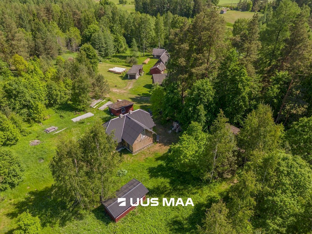 Põlva vald, Kauksi küla, Haavamäe
