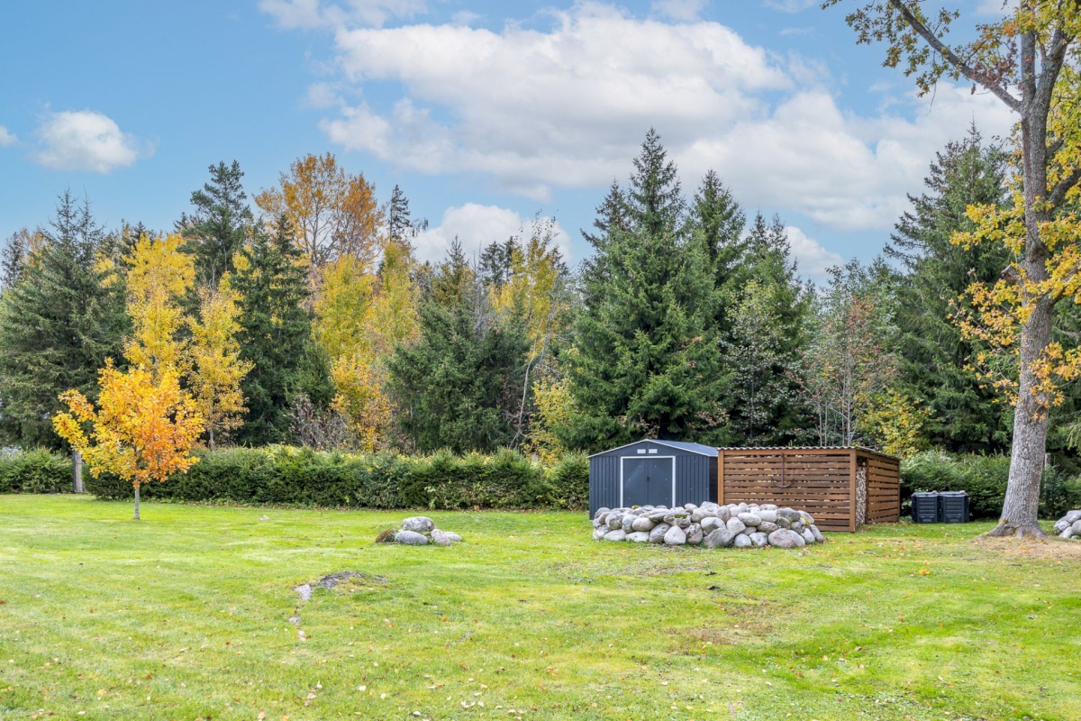 Viimsi vald, Tammneeme küla, Tammneeme tee 17