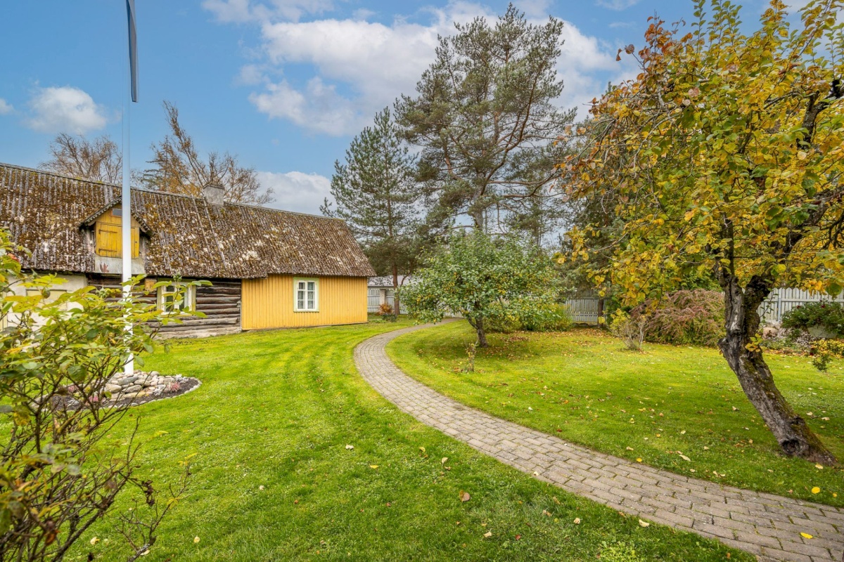 Viimsi vald, Tammneeme küla, Tammneeme tee 17