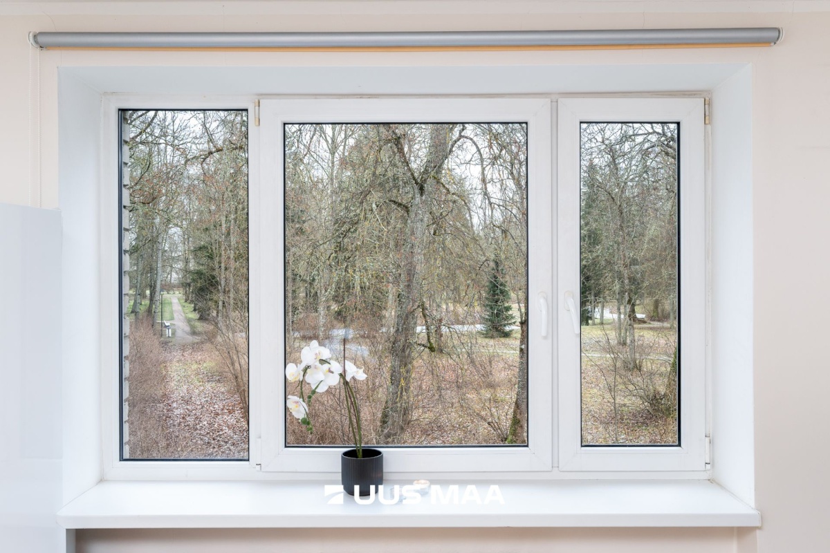 Saku vald, Saku alevik, Pargi 29